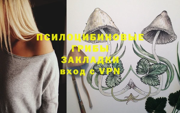 ГАЛЛЮЦИНОГЕННЫЕ ГРИБЫ Верхнеуральск